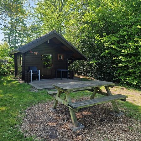 Camping Alkenhaer Appelscha Blokhut Basic Εξωτερικό φωτογραφία